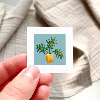 A hand is holding a small square card with a picture of a potted plant on it.