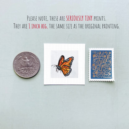 three small items: a silver coin, a white square with a butterfly image, and a blue postage stamp.