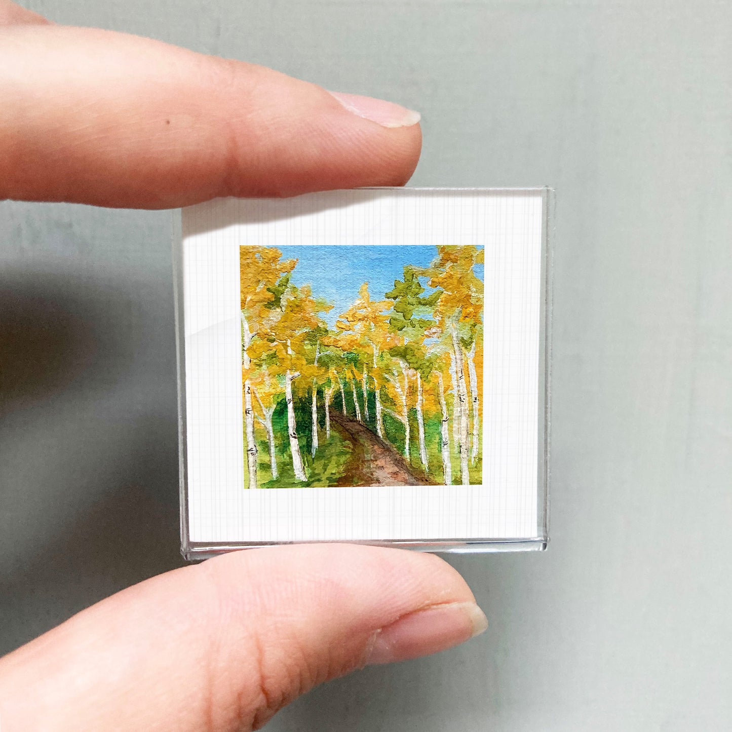 A person's hand is holding a small square picture of a forest with tall trees and a path leading through it.