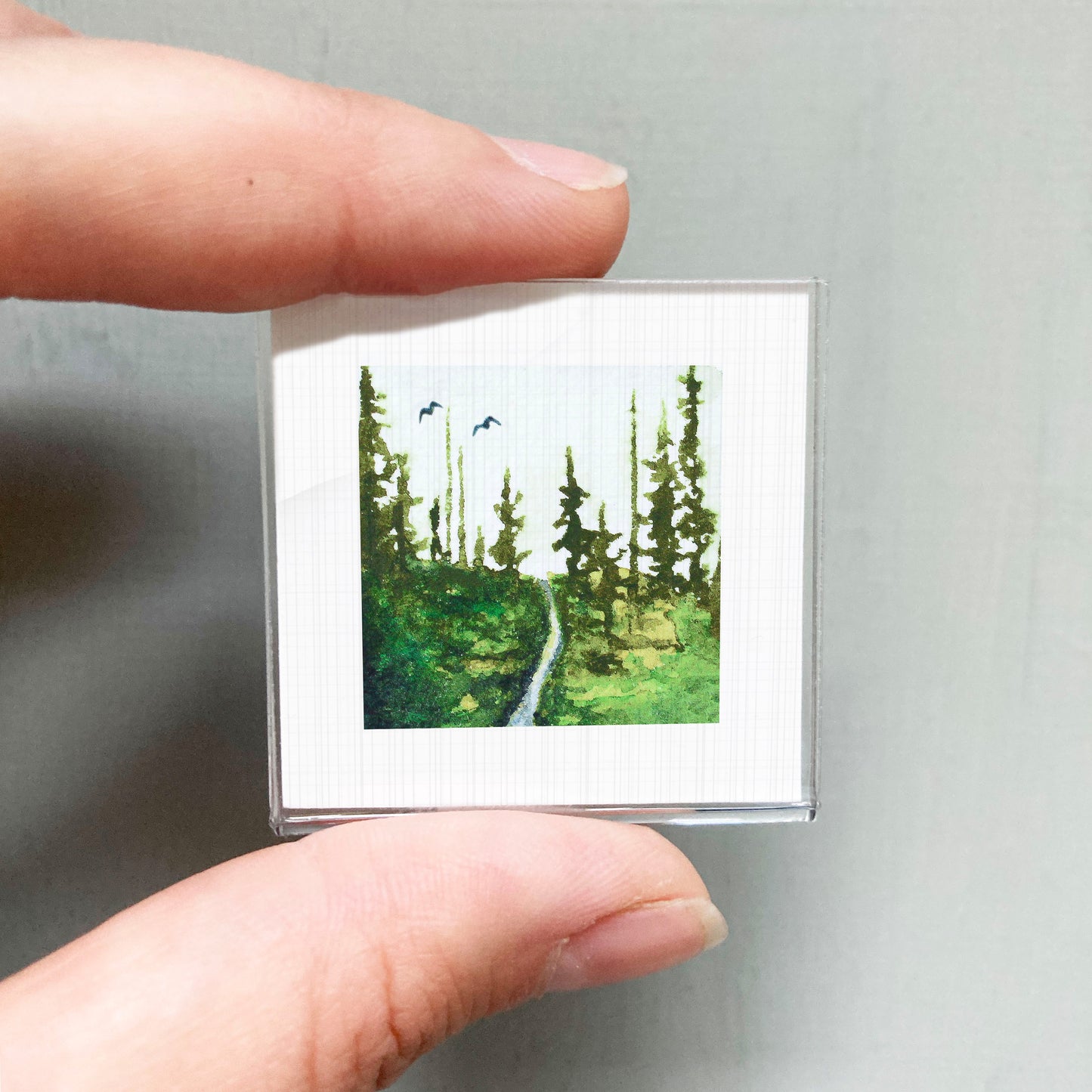 A person's hand holding a small square picture depicting a forest scene with a winding path.