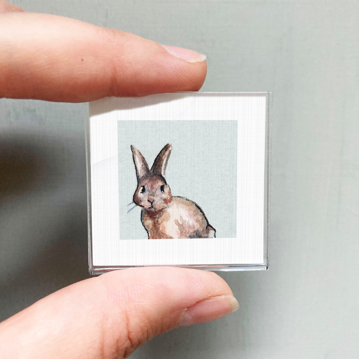 A person's hand holding a small square picture of a rabbit.