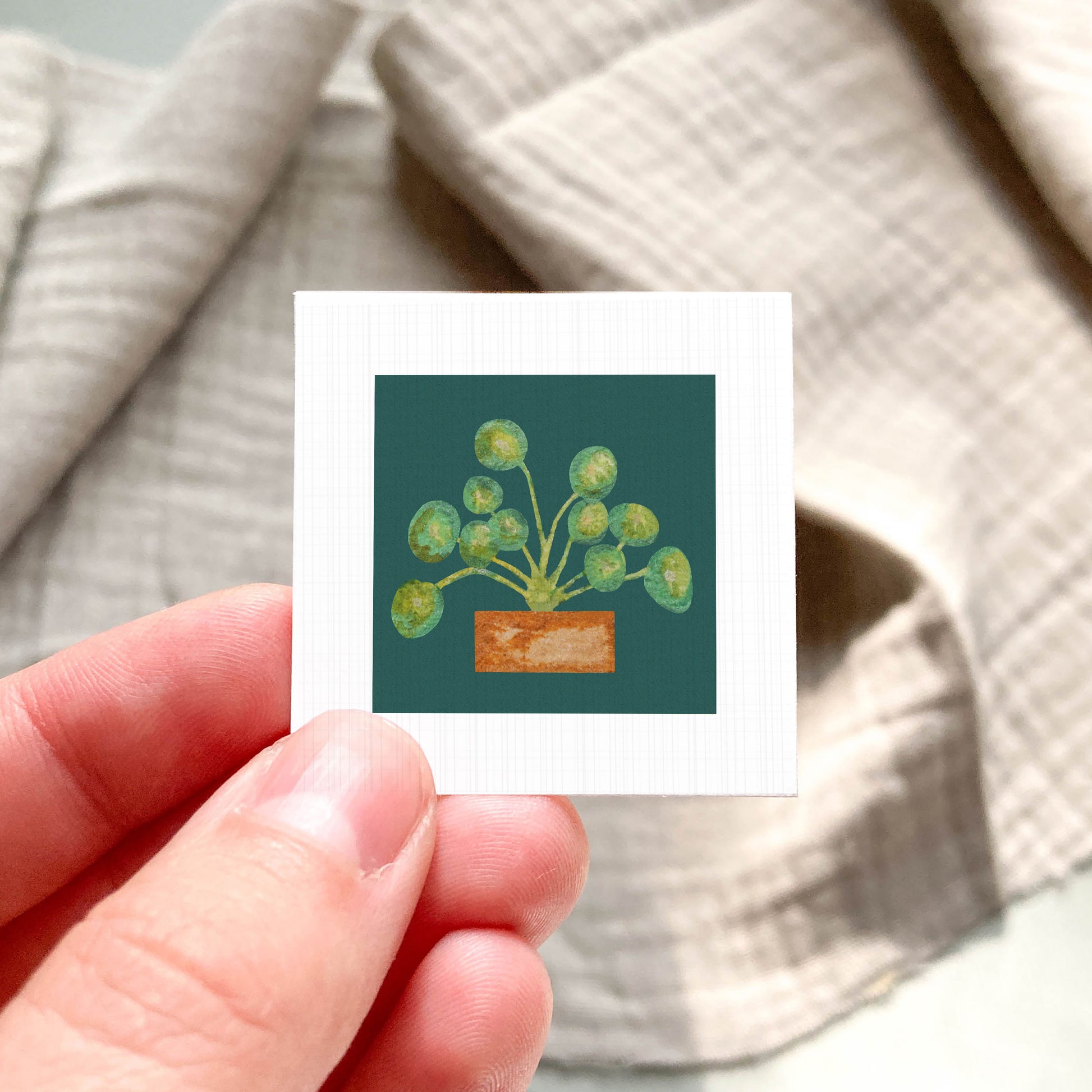 A hand is holding a small square card with a picture of a potted plant on it.
