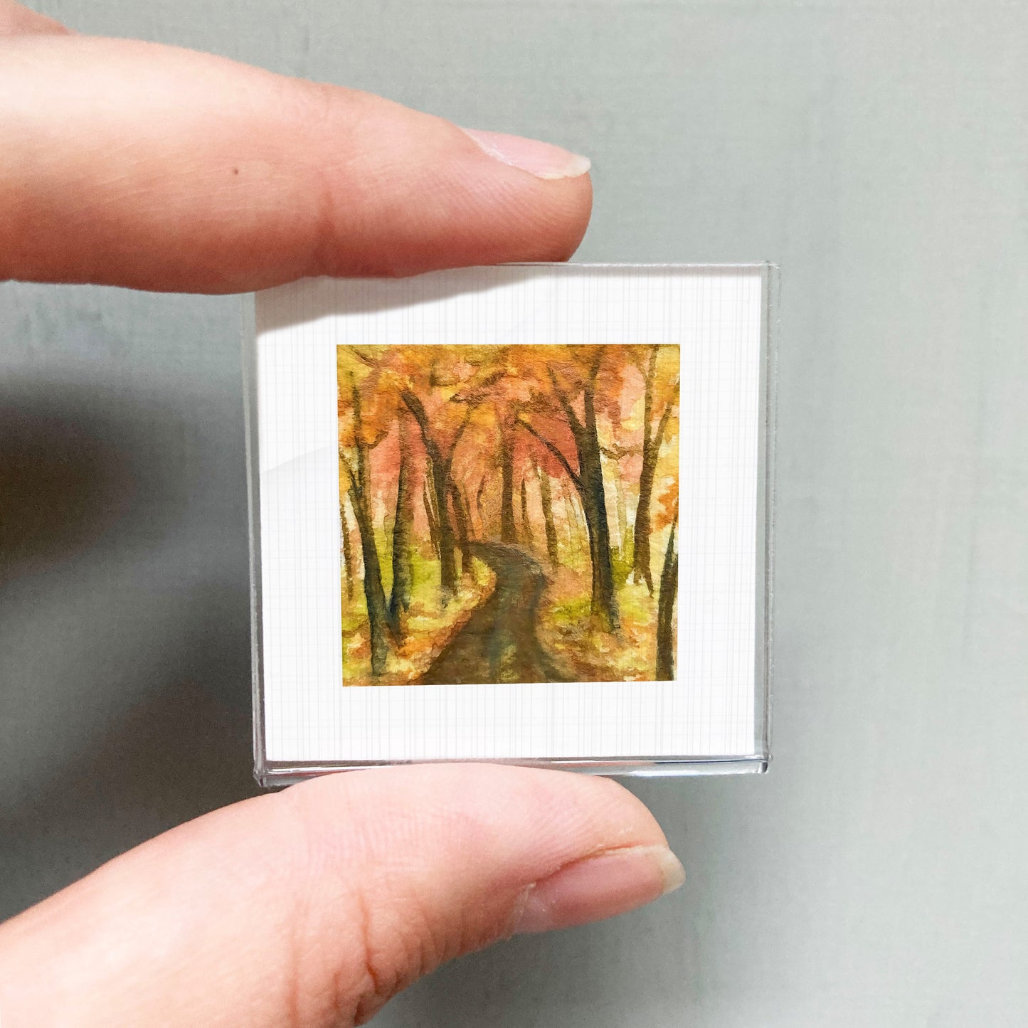 A person's hand is holding a small square picture of a forest with a winding path.