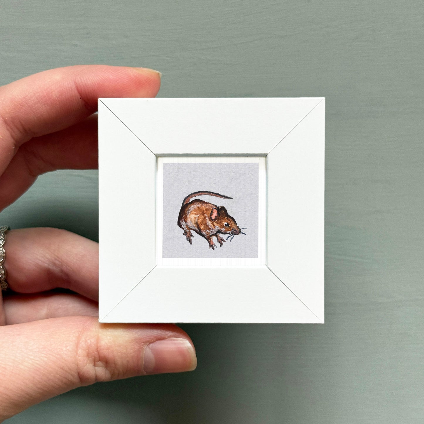 A hand is holding a small white square frame containing a detailed illustration of a mouse.