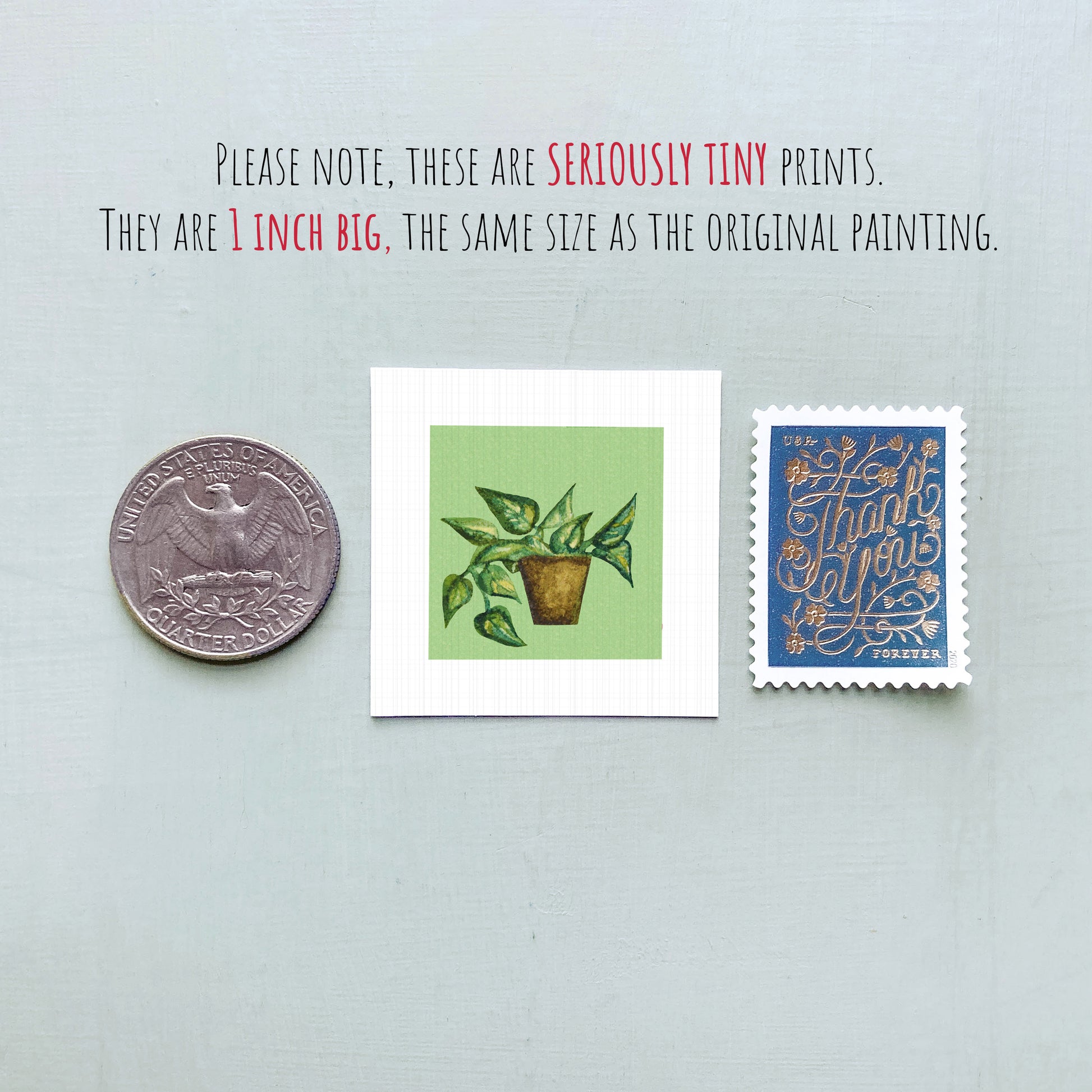 three small prints: a United States quarter, a square print of a plant, and a blue postage stamp.