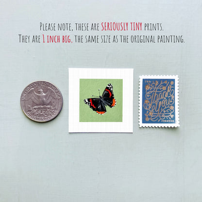 three small items: a silver coin, a white square with a butterfly illustration, and a blue postage stamp.