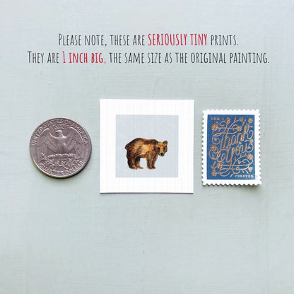 a collection of three small items: a quarter, a bear illustration, and a postage stamp.