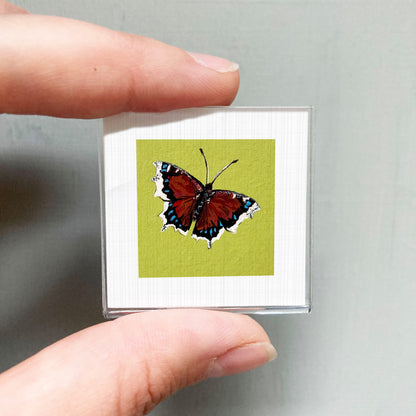 A person's hand is holding a small square with a picture of a colorful butterfly on it.
