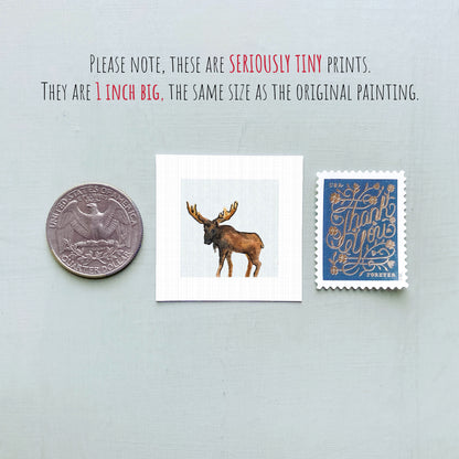 a collection of three small items: a quarter, a stamp, and a painting of a moose.