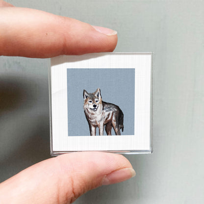 A person's hand is holding a small square picture of a wolf against a light blue background.