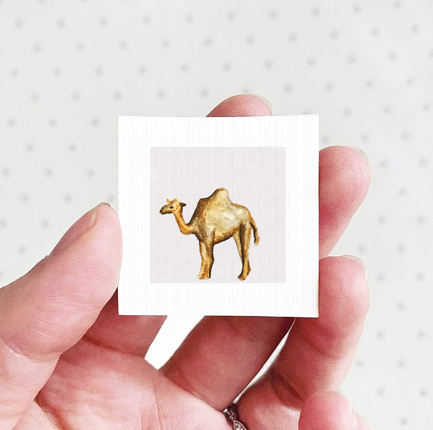A hand holding a small square picture of a camel against a white background.
