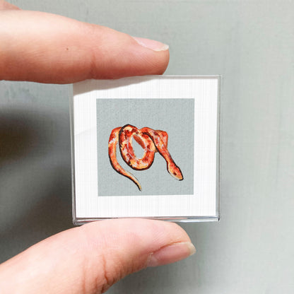A person's hand is holding a small square picture of a red snake.