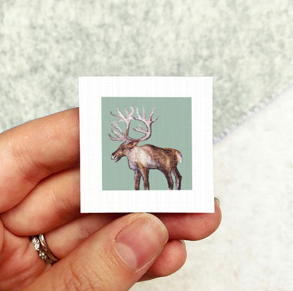 A person's hand holding a small square picture of a deer with large antlers.