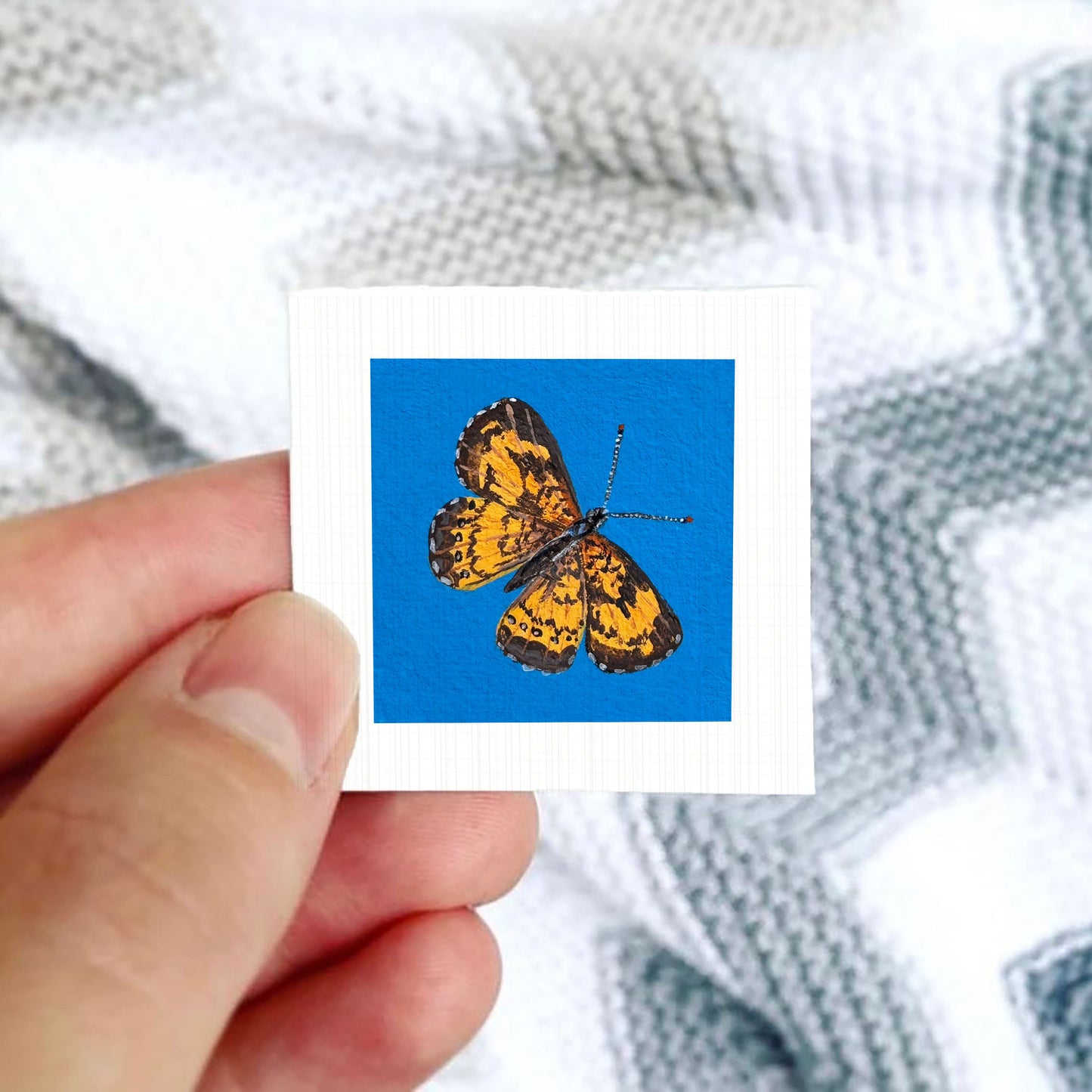 A hand is holding a small square card with a picture of a colorful butterfly on it.