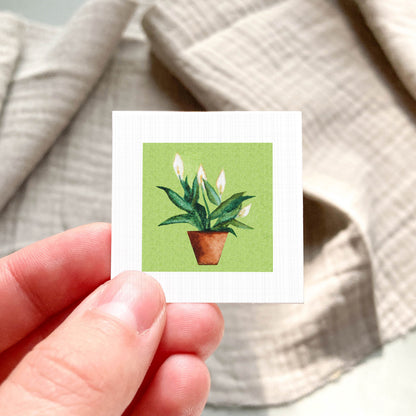 A hand holding a small square card with a picture of a potted plant on it.