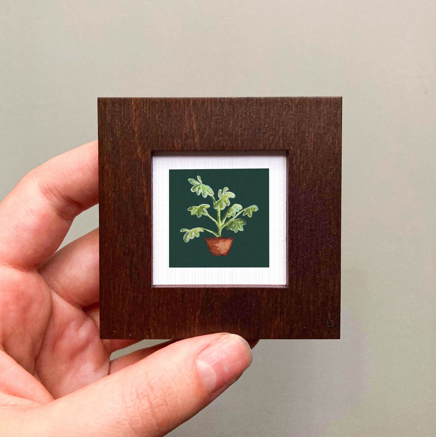 A hand is holding a small wooden frame containing a framed picture of a potted plant with green leaves.