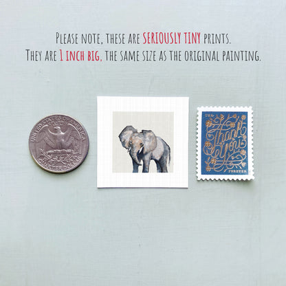 a collection of three objects: a quarter, a small painting of two elephants, and a postage stamp.