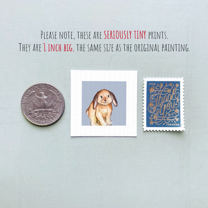 a collection of three small items: a quarter, a square print of a rabbit, and a postage stamp.
