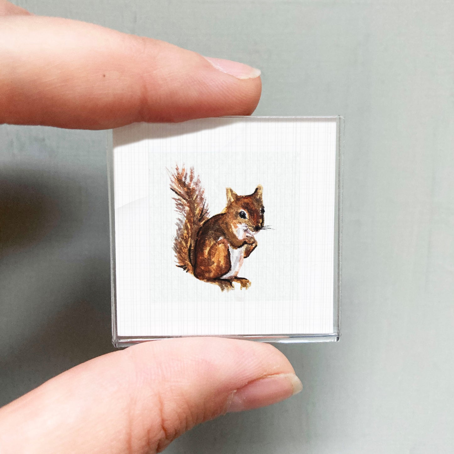 A person's hand holding a small square picture of a squirrel.