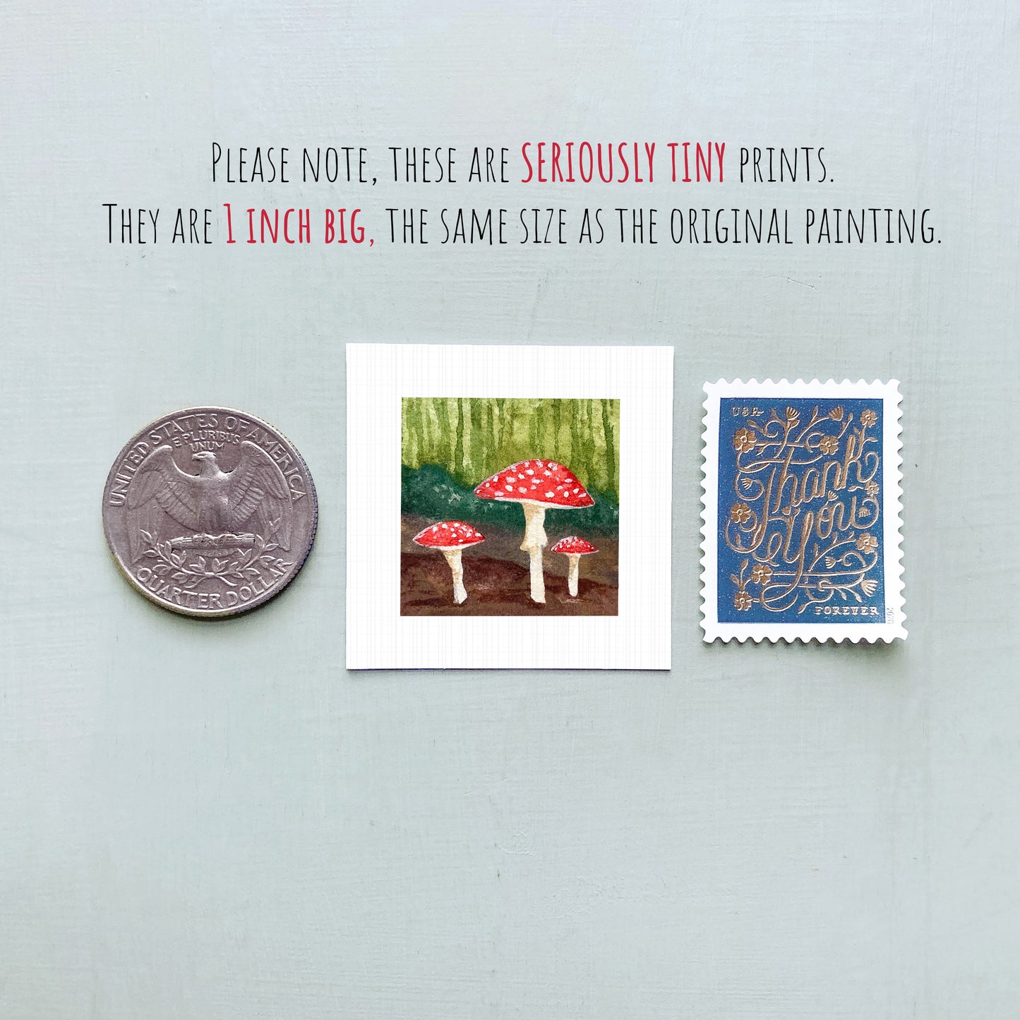 three small prints: a silver coin, a framed print of mushrooms, and a blue postage stamp.