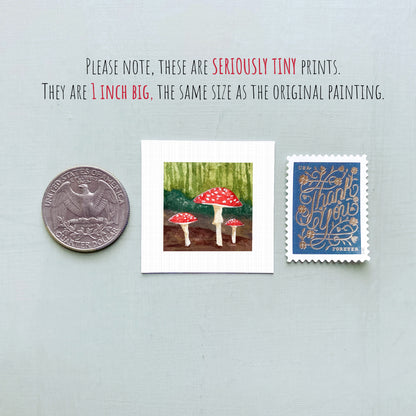 three small prints: a silver coin, a framed print of mushrooms, and a blue postage stamp.