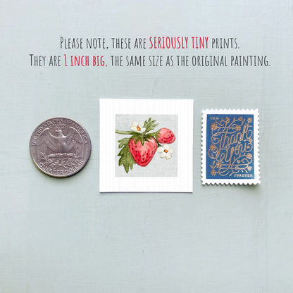 three small prints: a United States quarter, a print of a strawberry with flowers, and a postage stamp.