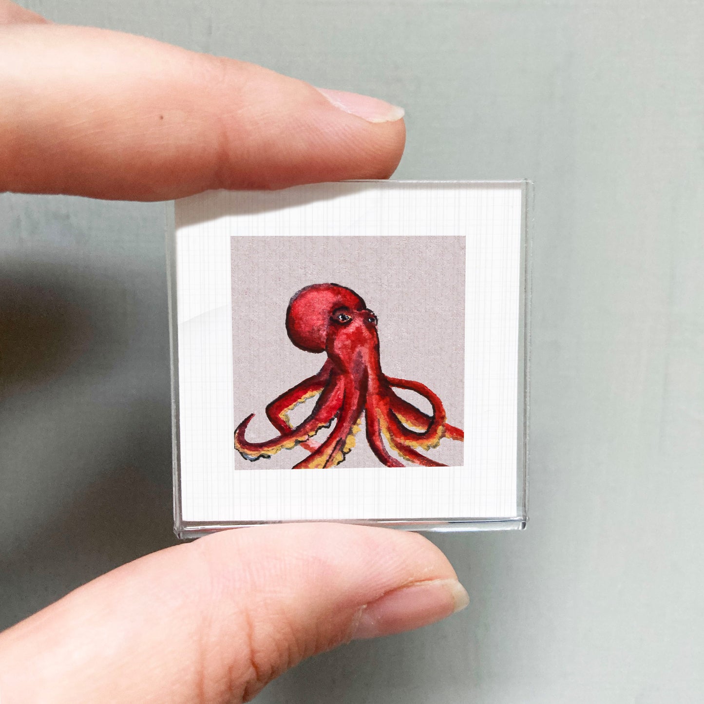 A person's hand is holding a small square picture of a red octopus.