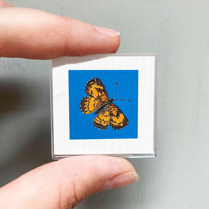 A person's hand is holding a small square with a vibrant image of a butterfly on it.