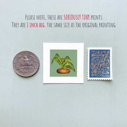 three small prints: a quarter, a square print of a plant, and a blue postage stamp with gold lettering.