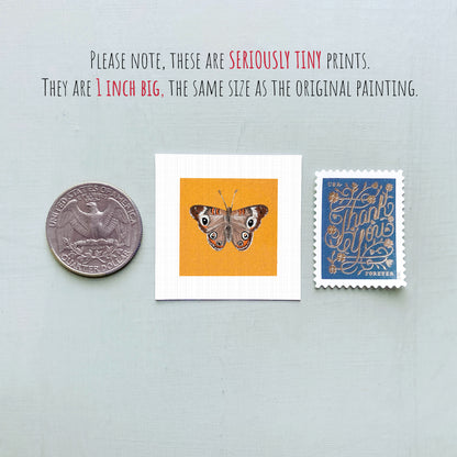 three small prints: a silver coin, a white square with an orange butterfly, and a blue postage stamp with gold lettering.