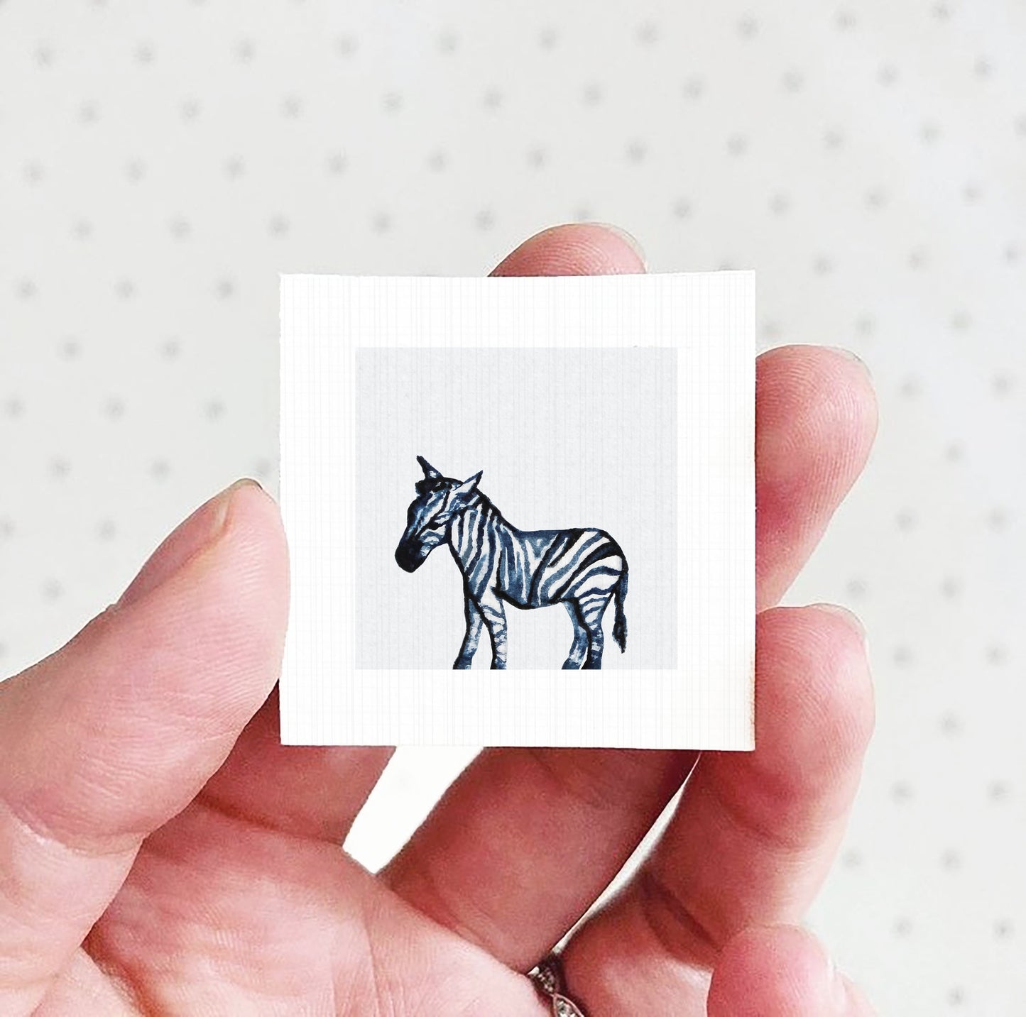 A hand holding a small square picture of a zebra against a white background.