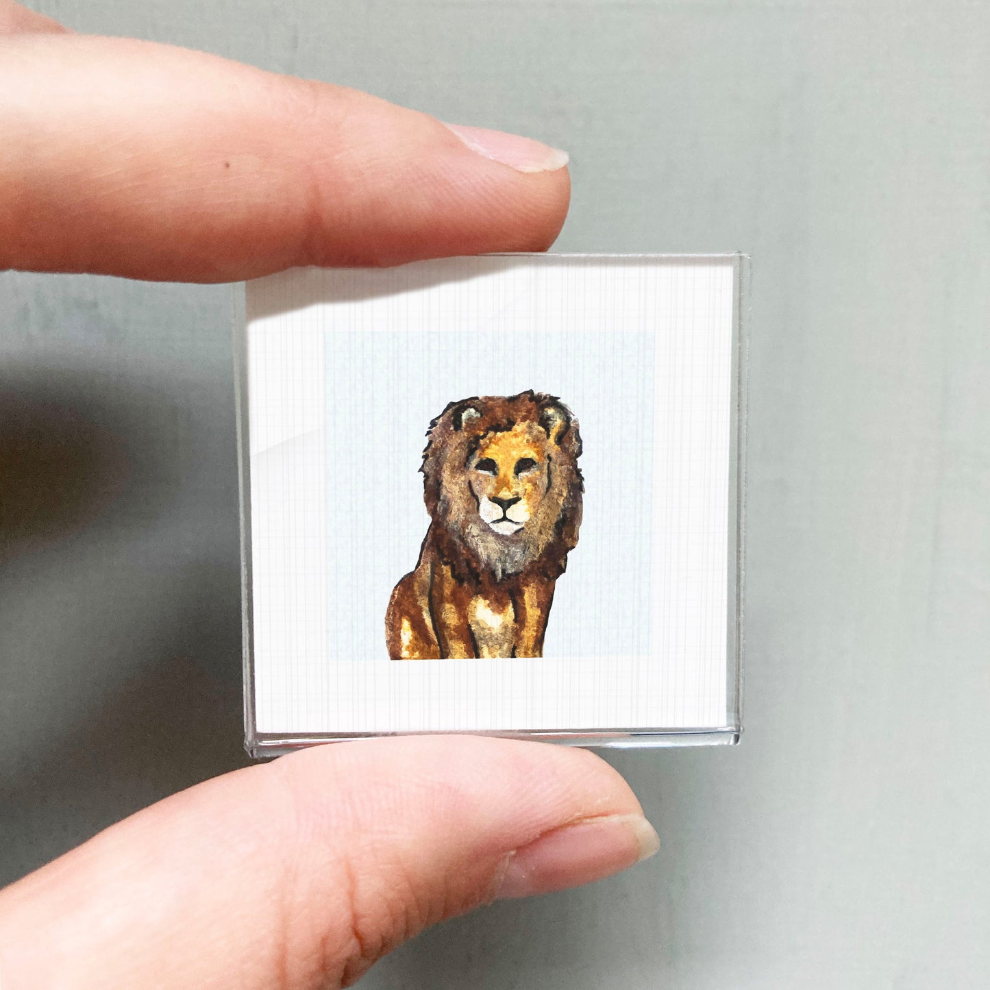 A person's hand holding a small square picture of a lion.