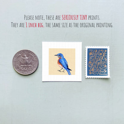 a collection of three small items: a quarter, a postage stamp, and a painting of a bluebird.