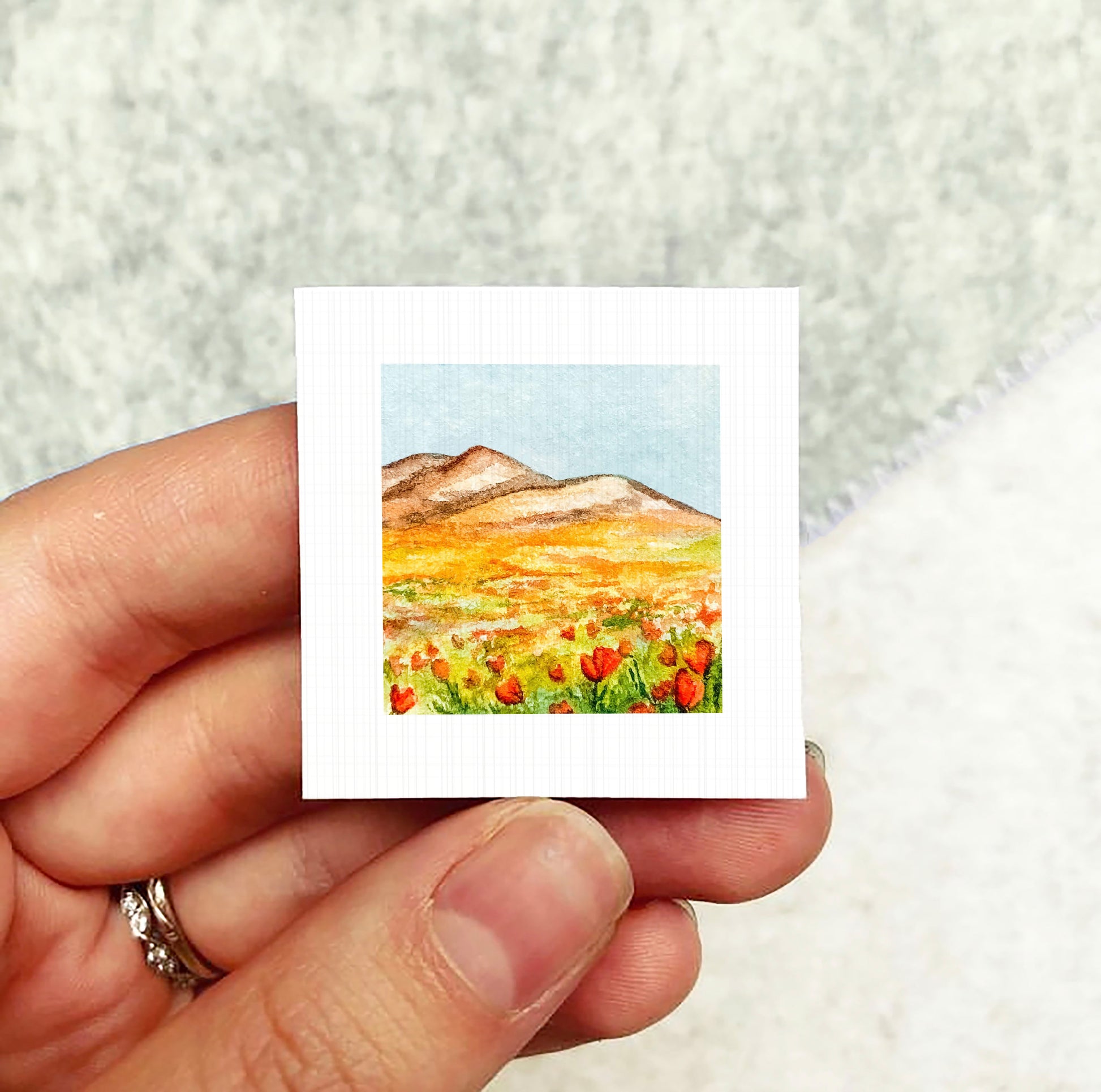 A hand holding a small square picture depicting a field of red flowers against a mountainous background.