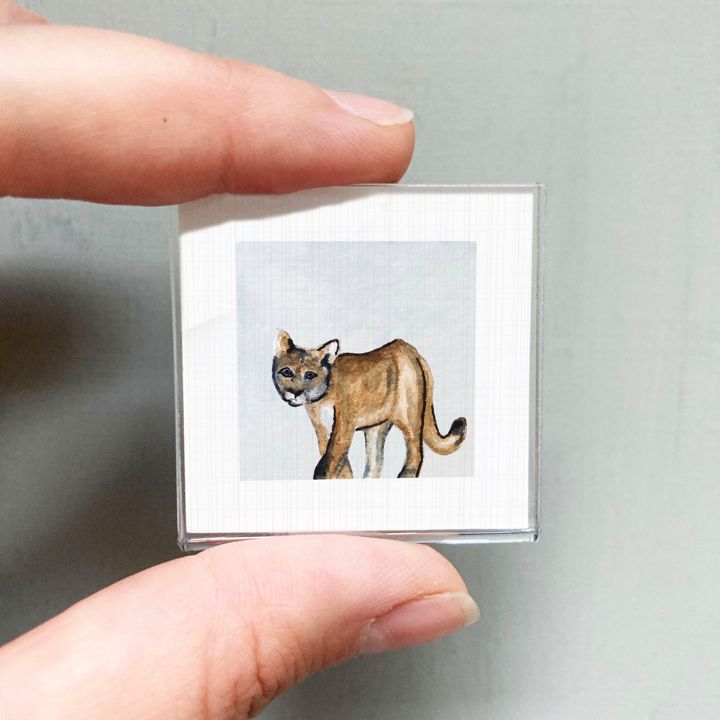 A person's hand is holding a small square picture of a brown cat.