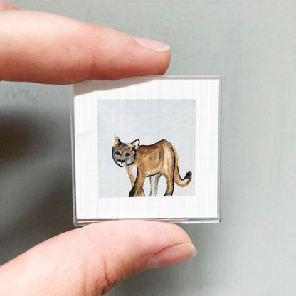 A person's hand is holding a small square picture of a brown cat.