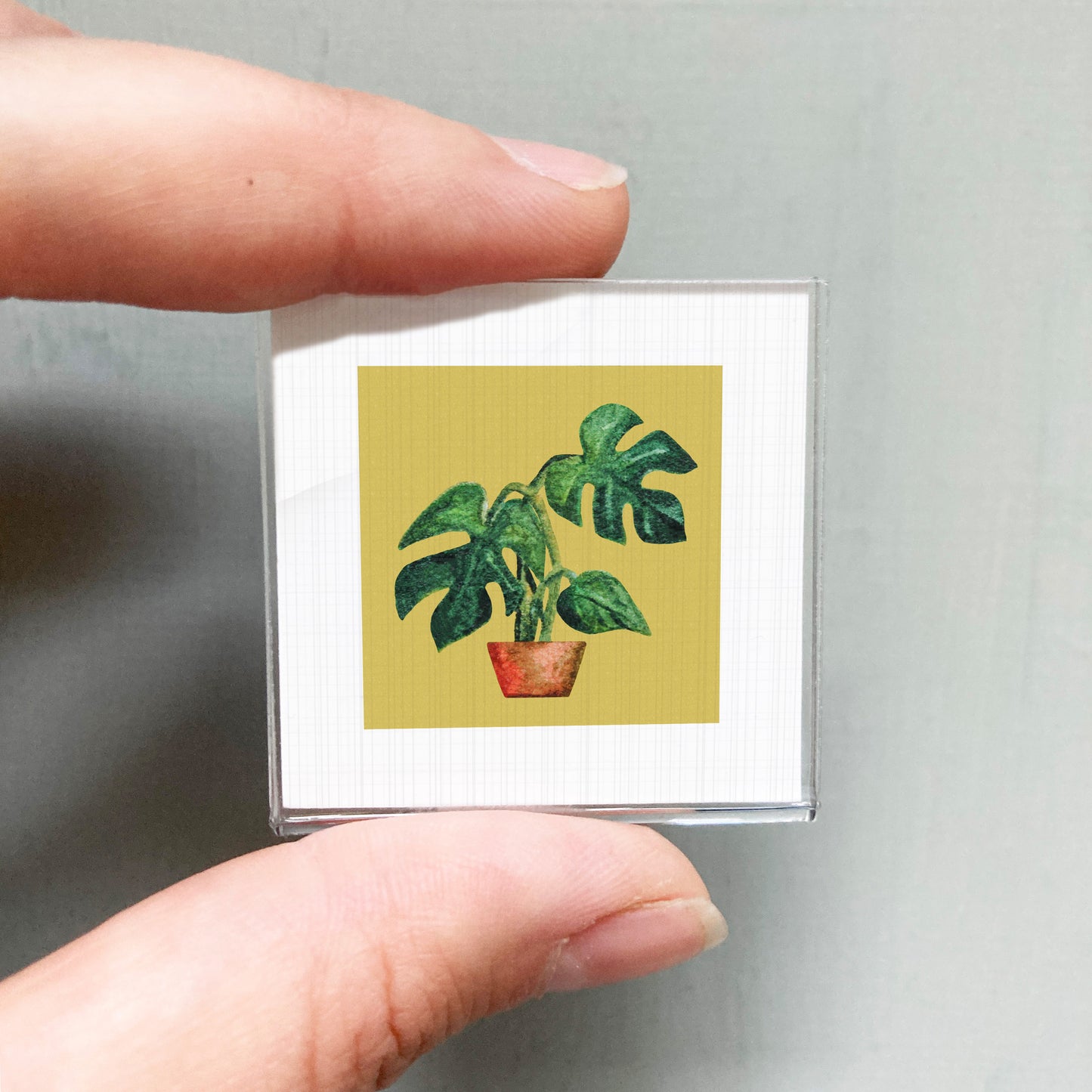 A person's hand holding a small square picture of a potted plant with large leaves.