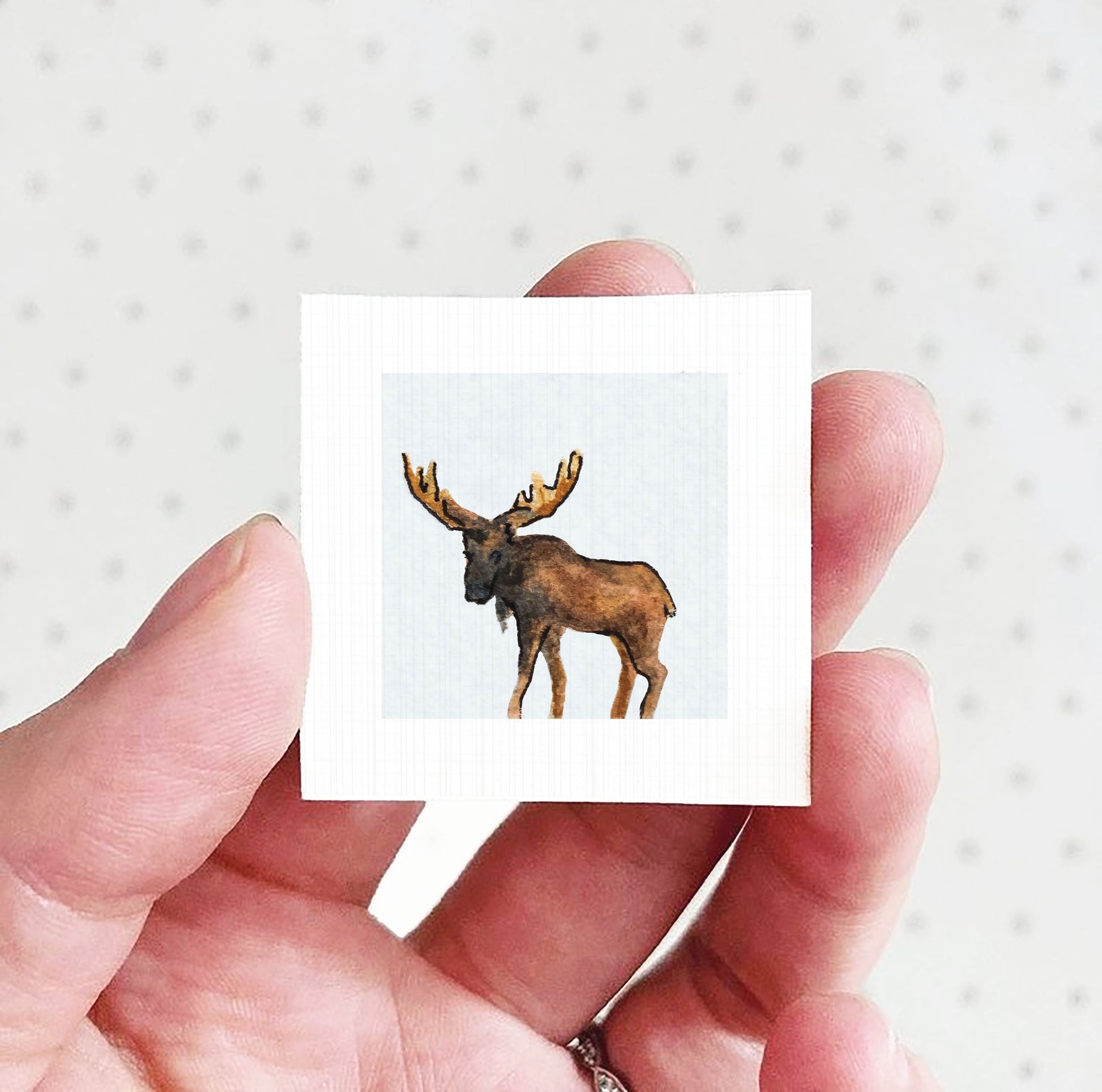 A hand holding a small square picture of a moose.