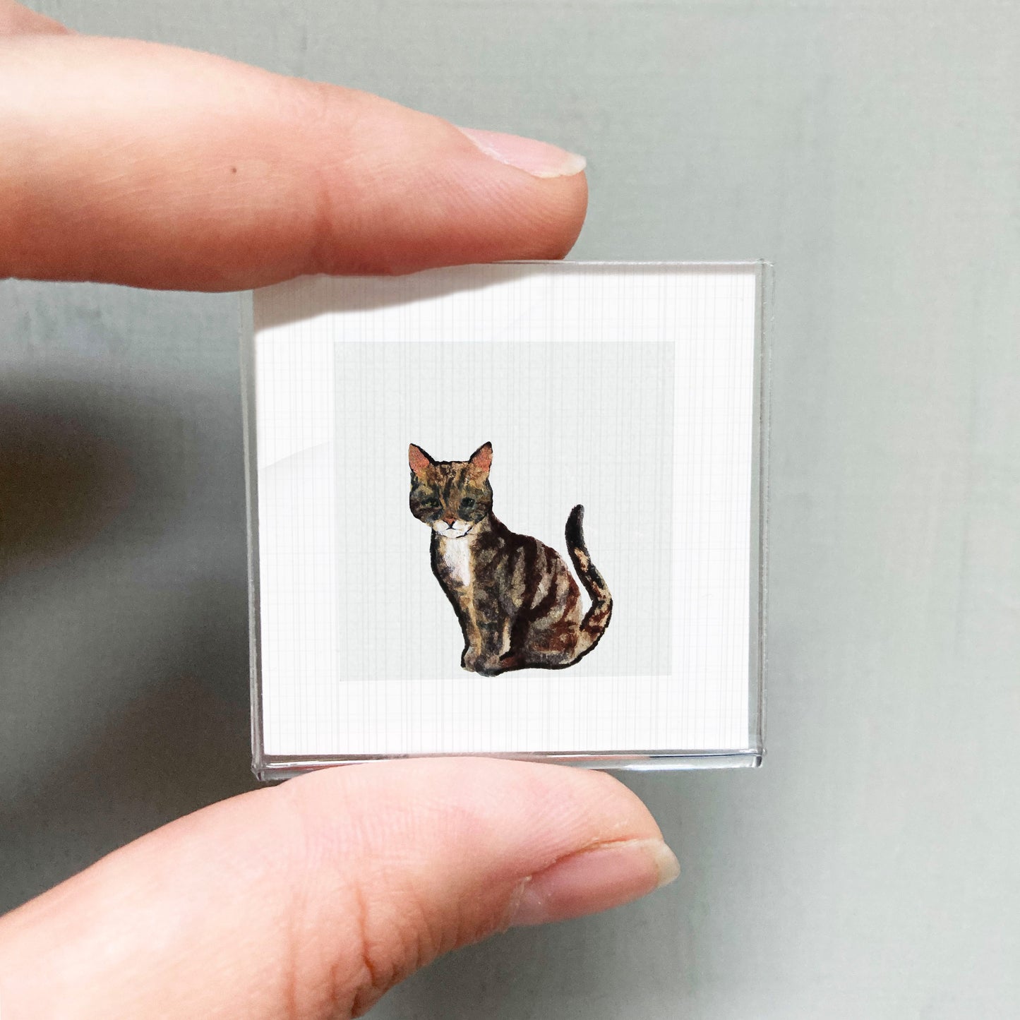 A person's hand is holding a small square picture of a cat.