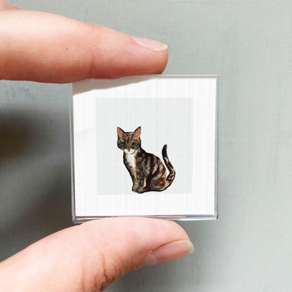 A person's hand is holding a small square picture of a cat.