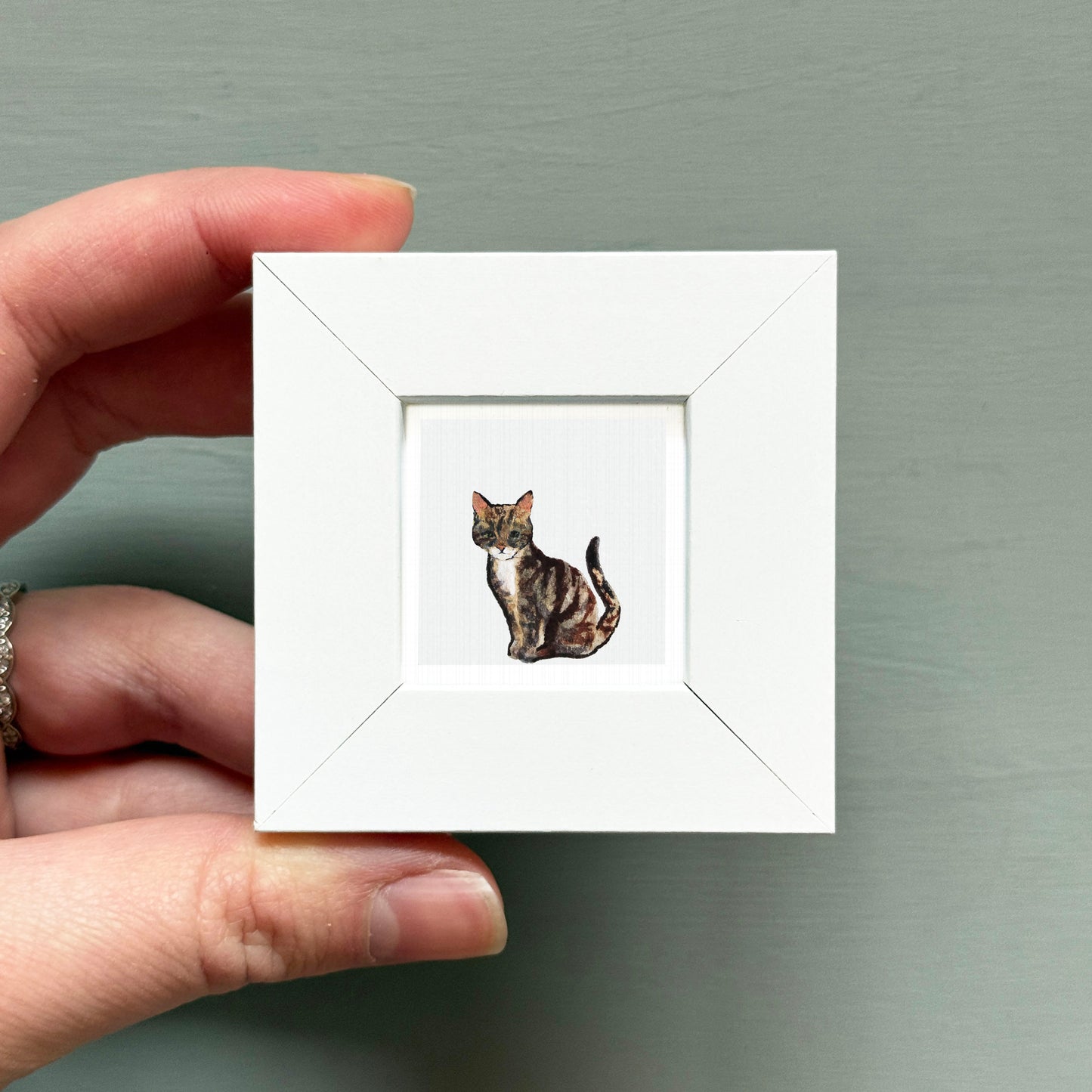 A hand is holding a small white square frame containing a picture of a cat.