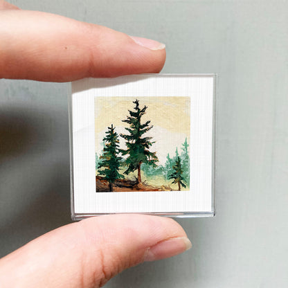 A person's hand holding a small square picture of a forest scene with pine trees.