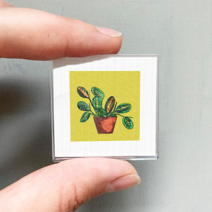 A person's hand holding a small square card with a picture of a potted plant on it.