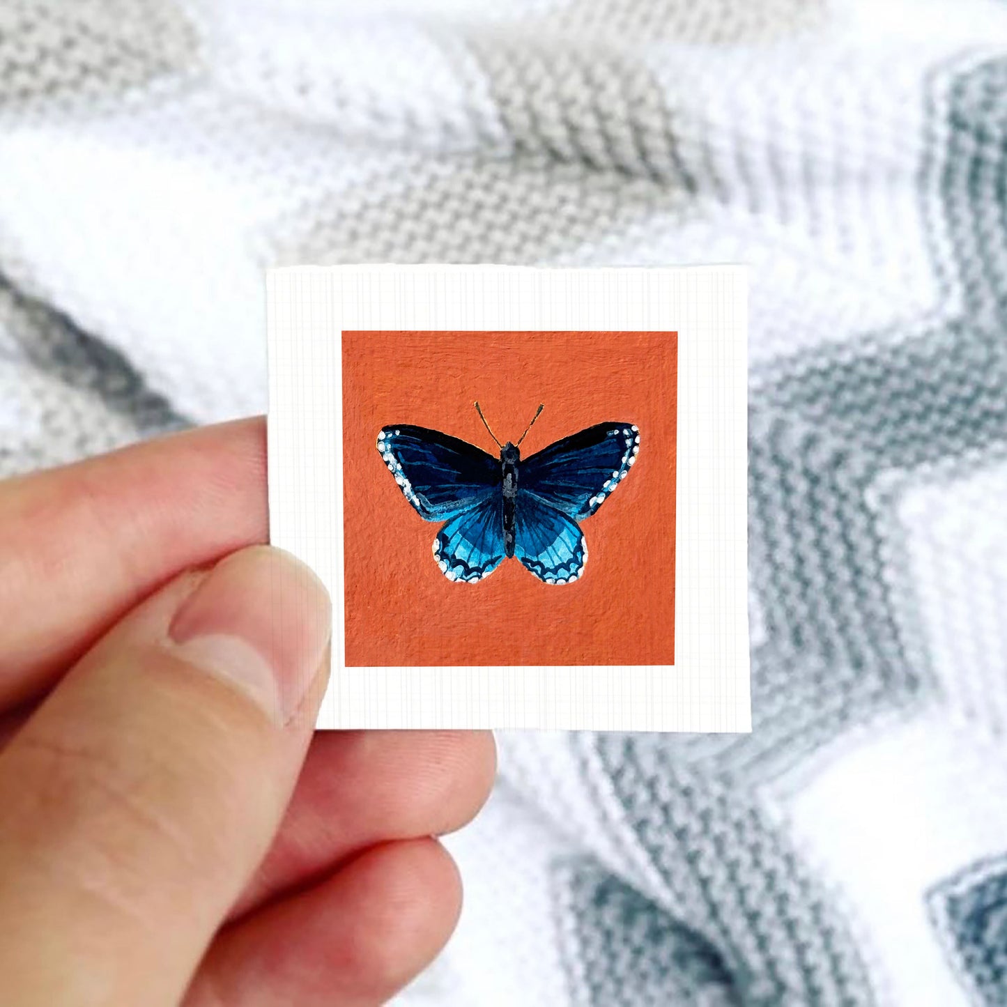 A hand is holding a small square card with a picture of a blue butterfly on it.