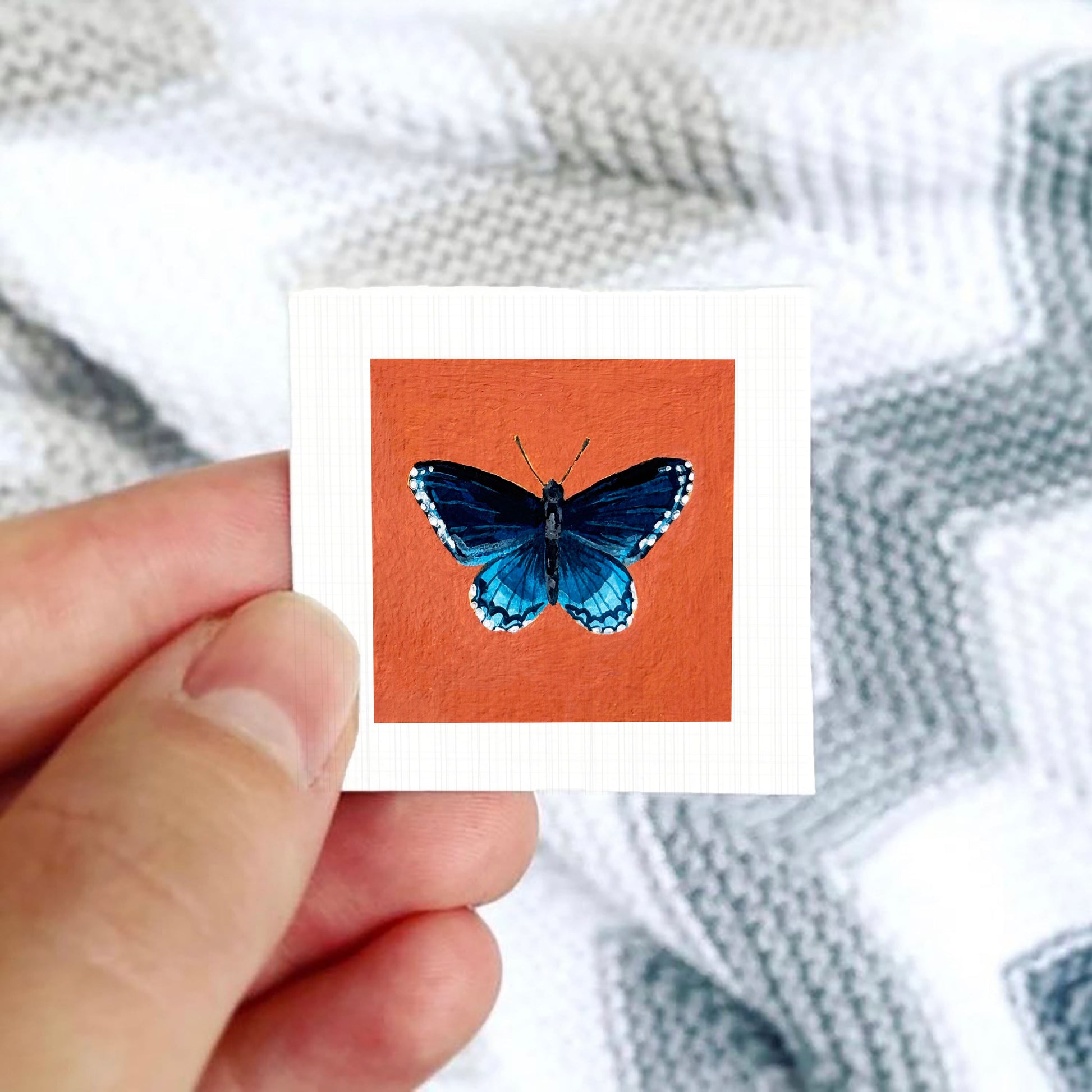 A hand is holding a small square card with a picture of a blue butterfly on it.