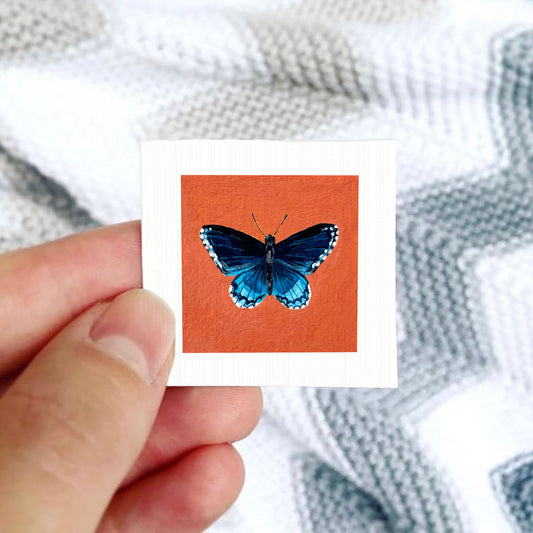 A hand is holding a small square card with a picture of a blue butterfly on it.