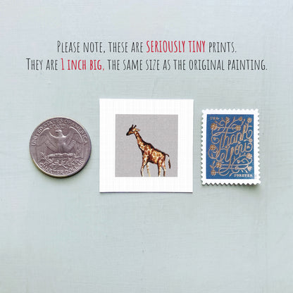 a collection of three small items: a quarter, a square print of a giraffe, and a postage stamp.