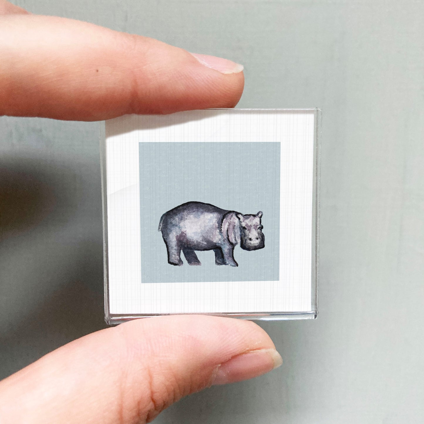 A person's hand is holding a small square picture of a hippopotamus against a light blue background.