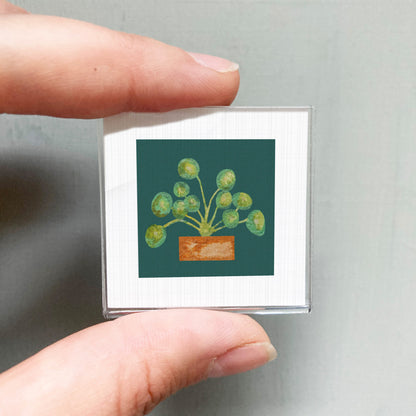 A person's hand holding a small square picture of a plant with green leaves and a brown pot.