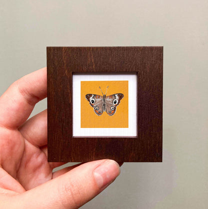 A hand is holding a small wooden frame containing a framed image of a butterfly.